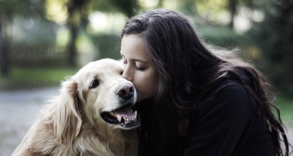 kutatást a kapcsolat az ember és a kutya