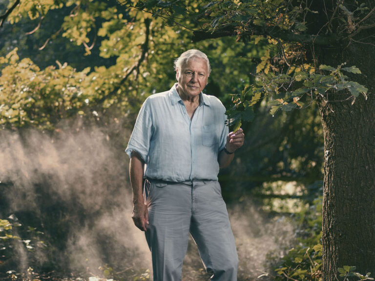 Egy ámulatba ejtő élet a bolygónkon – Sir David Attenborough-t és a Föld napját ünnepeljük